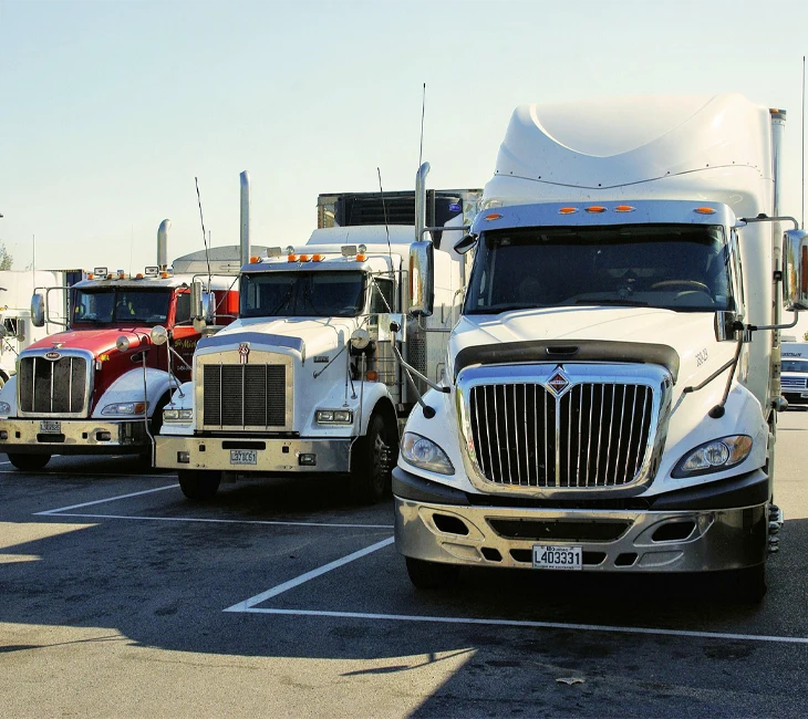 Multiple commercial trucks parked in a lot, representing professional transportation services and DOT-regulated drivers.